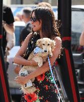 MOTORI - Formula 1 - Pirelli Gran Premio d'Italia 2025