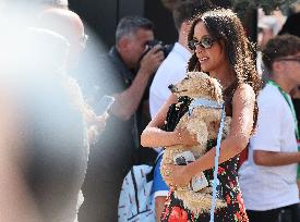 MOTORI - Formula 1 - Pirelli Gran Premio d'Italia 2025