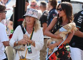 MOTORI - Formula 1 - Pirelli Gran Premio d'Italia 2025