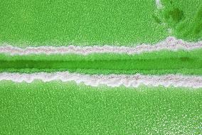 Qarhan Salt Lake in Golmud