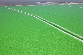 Qarhan Salt Lake in Golmud