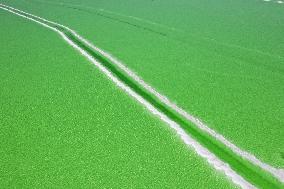 Qarhan Salt Lake in Golmud