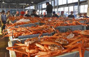 Red snow crab catch in western Japan