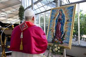 Pope Leo XIV Inaugurates The ‘Laudato sì Village’ - Castel Gandolfo
