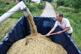White Dew Farming - China