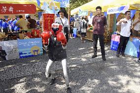 China festival in Tokyo