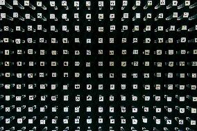 Seeds Displayed At Fuligong Greenhouses In Kunming