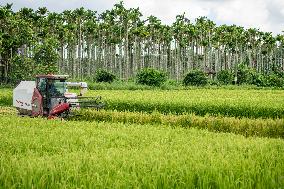 Seeds Displayed At Fuligong Greenhouses In Kunming