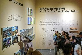 Seeds Displayed At Fuligong Greenhouses In Kunming