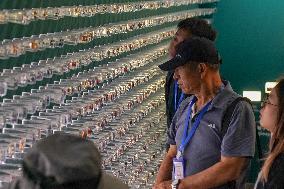 Seeds Displayed At Fuligong Greenhouses In Kunming