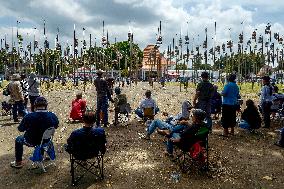 Yogyakarta Turtledove Chirping Contest - Indonesia