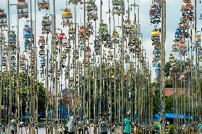 Yogyakarta Turtledove Chirping Contest - Indonesia