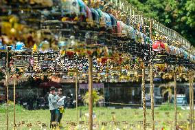 Yogyakarta Turtledove Chirping Contest - Indonesia
