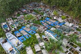 Prohibition and Withdrawal of Fishing in The Waters of Hongze Lake