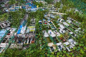 Prohibition and Withdrawal of Fishing in The Waters of Hongze Lake