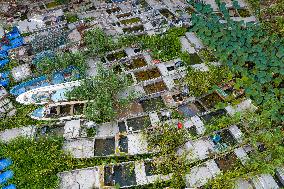 Prohibition and Withdrawal of Fishing in The Waters of Hongze Lake