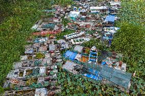 Prohibition and Withdrawal of Fishing in The Waters of Hongze Lake