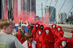 Rally in Support of Gaza - Rotterdam