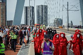 Rally in Support of Gaza - Rotterdam
