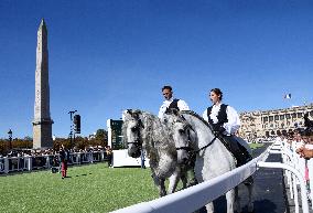 Horses In The City - Paris
