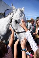 Horses In The City - Paris