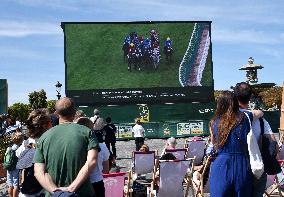 Horses In The City - Paris