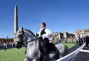 Horses In The City - Paris