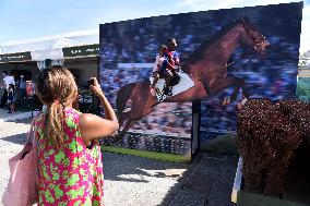 Horses In The City - Paris