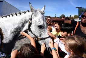 Horses In The City - Paris
