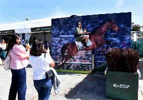 Horses In The City - Paris
