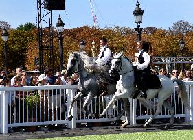 Horses In The City - Paris