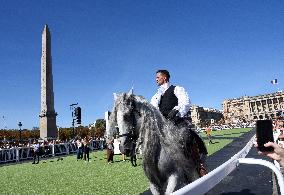 Horses In The City - Paris