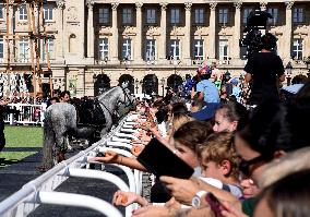 Horses In The City - Paris