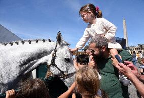 Horses In The City - Paris