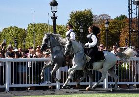 Horses In The City - Paris