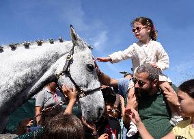 Horses In The City - Paris