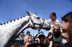 Horses In The City - Paris