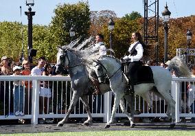 Horses In The City - Paris