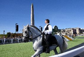 Horses In The City - Paris