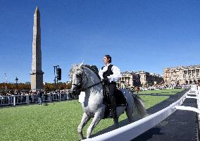 Horses In The City - Paris