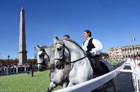 Horses In The City - Paris