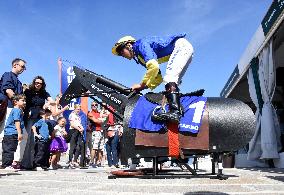 Horses In The City - Paris