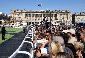Horses In The City - Paris