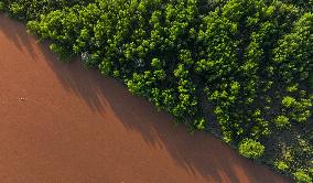 Yellow River Scenery - China