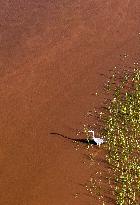 Yellow River Scenery - China