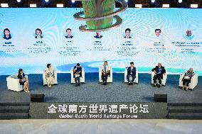 Global South Media And Think Tank Forum - China