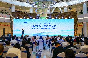 Global South Media And Think Tank Forum - China