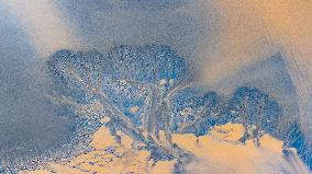 Tidal Trees Landscape