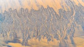 Tidal Trees Landscape