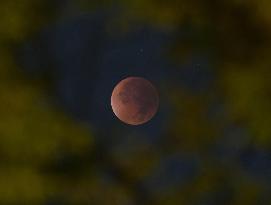 Total lunar eclipse